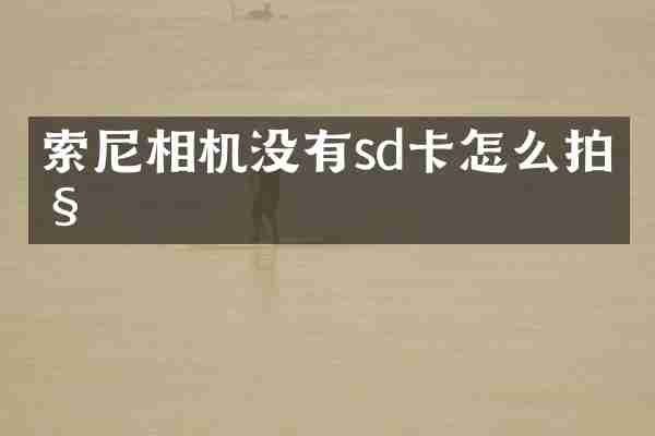 索尼相机没有sd卡怎么拍照