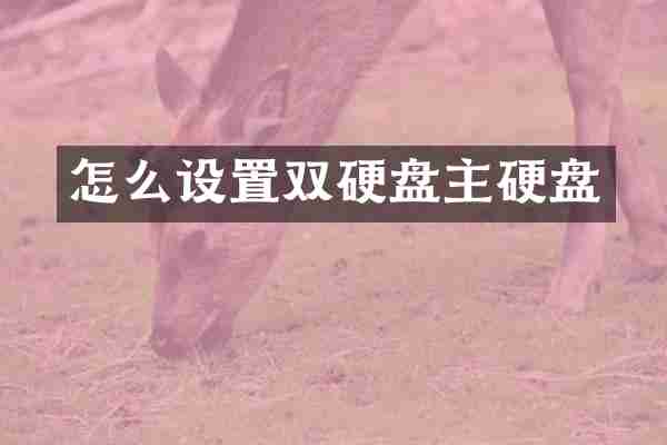 怎么设置双硬盘主硬盘