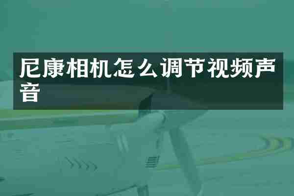 尼康相机怎么调节视频声音