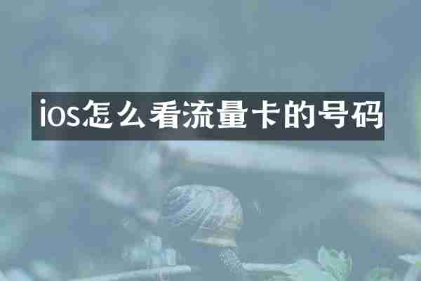 ios怎么看流量卡的号码