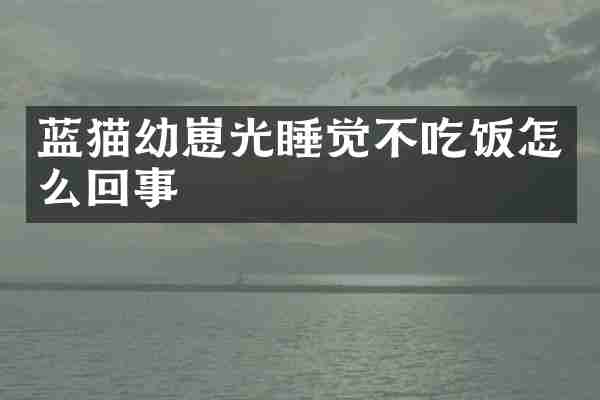 蓝猫幼崽光睡觉不吃饭怎么回事