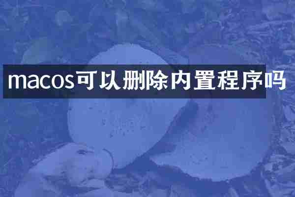 macos可以删除内置程序吗