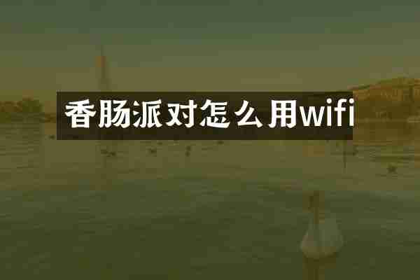 香肠派对怎么用wifi