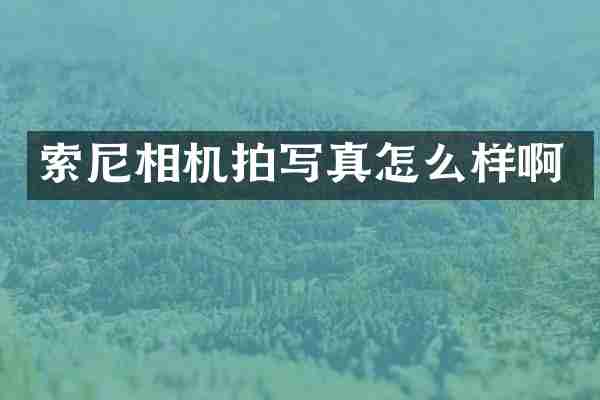 索尼相机拍写真怎么样啊