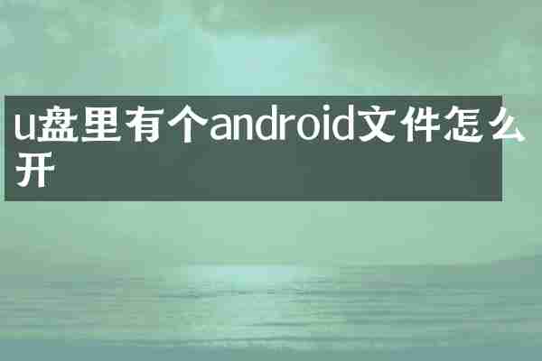 u盘里有个android文件怎么打开