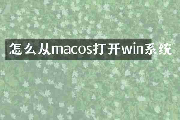 怎么从macos打开win系统
