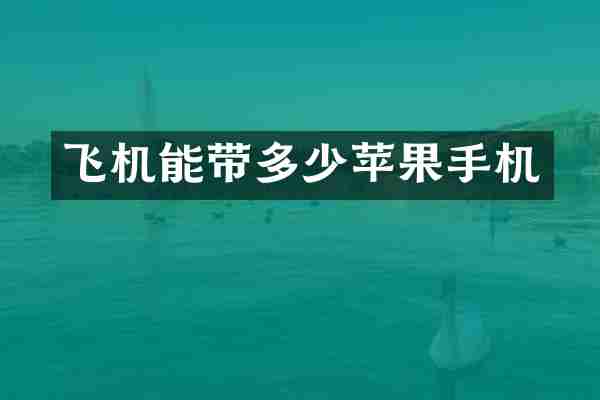 飞机能带多少苹果手机