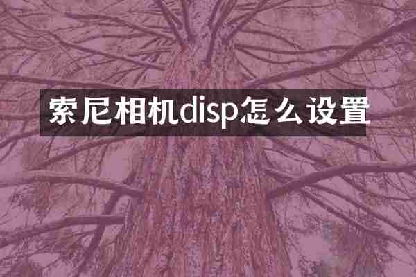 索尼相机disp怎么设置