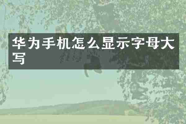 华为手机怎么显示字母大写
