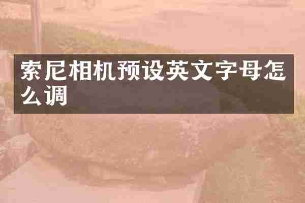 索尼相机预设英文字母怎么调