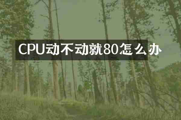 CPU动不动就80怎么办
