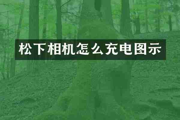 松下相机怎么充电图示