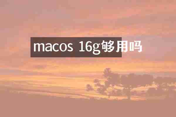 macos 16g够用吗