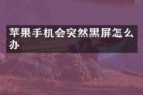 苹果手机会突然黑屏怎么办