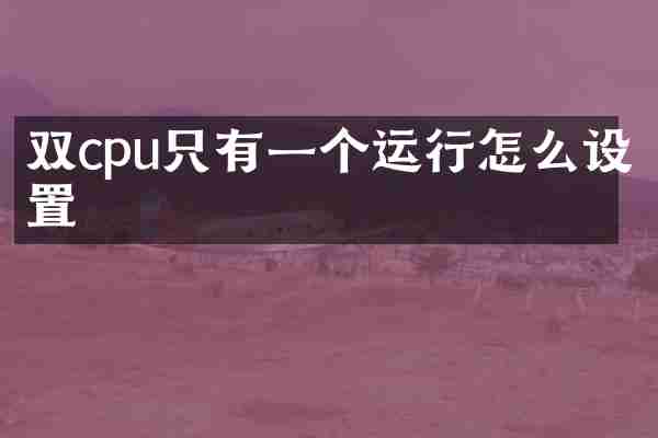 双cpu只有一个运行怎么设置