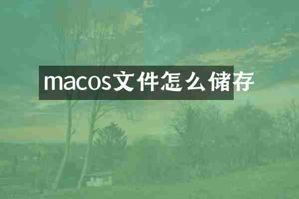 macos文件怎么储存