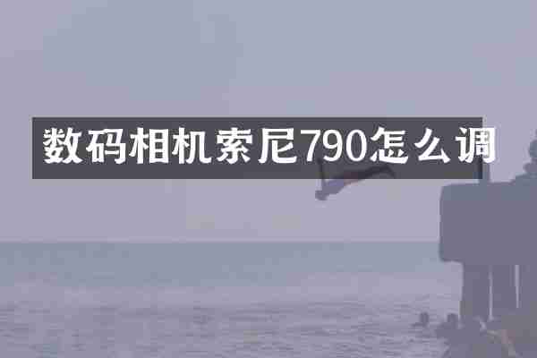 数码相机索尼790怎么调