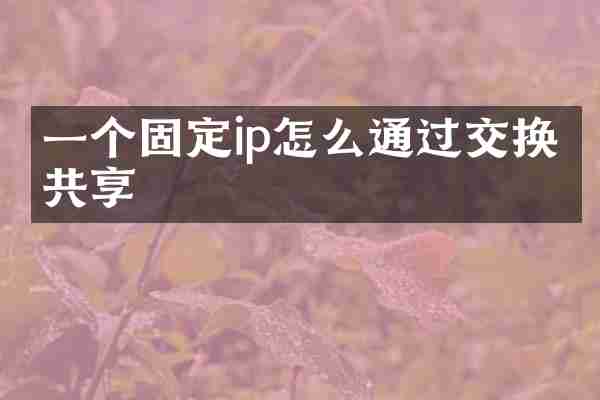 一个固定ip怎么通过交换机共享
