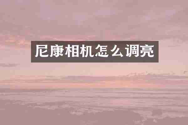 尼康相机怎么调亮