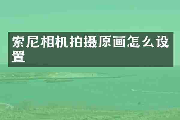 索尼相机拍摄原画怎么设置
