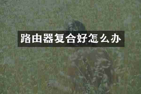 路由器复合好怎么办