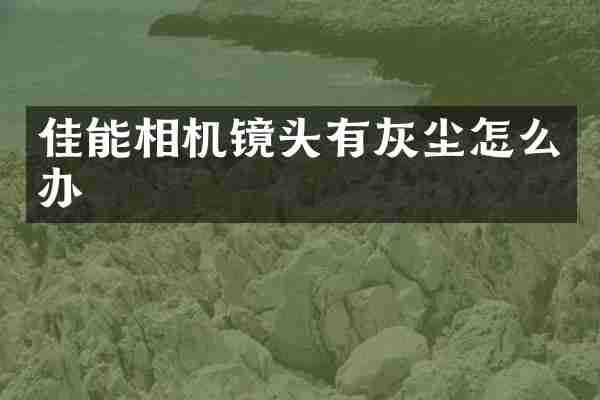 佳能相机镜头有灰尘怎么办