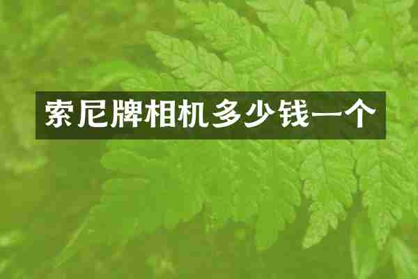 牌相机多少钱一个