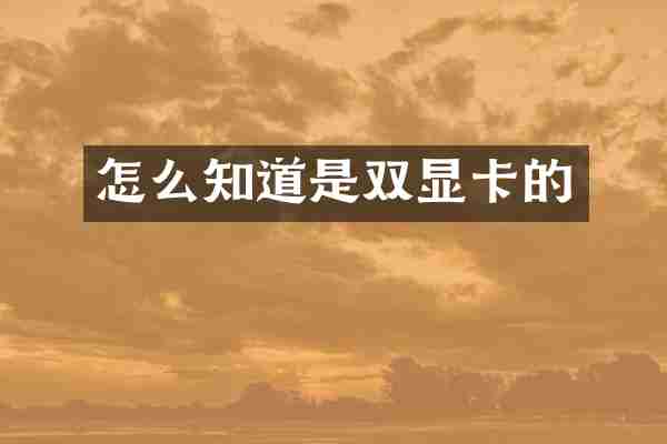 怎么知道是双显卡的