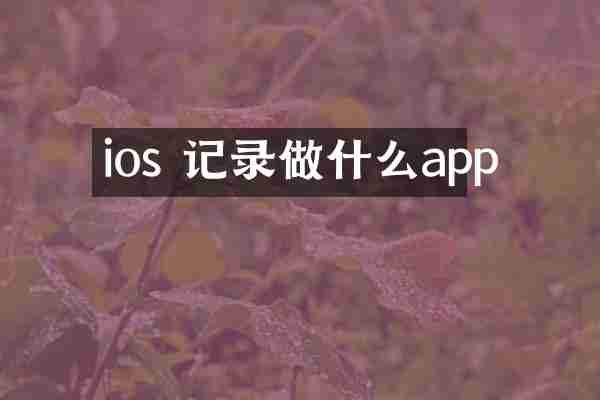 ios 记录做什么app