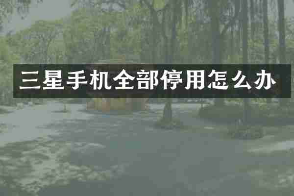三星手机全部停用怎么办
