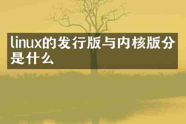 linux的发行版与内核版分别是什么