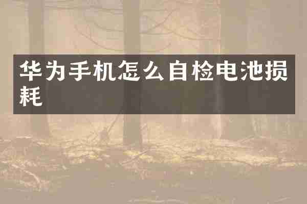 华为手机怎么自检电池损耗