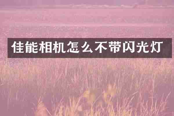 佳能相机怎么不带闪光灯