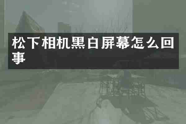 松下相机黑白屏幕怎么回事