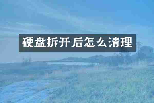 硬盘拆开后怎么清理