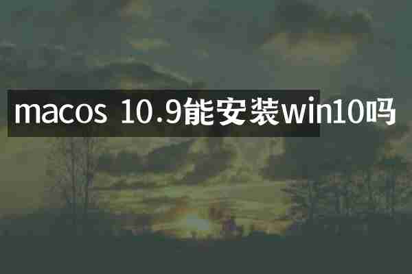 macos 10.9能安装win10吗