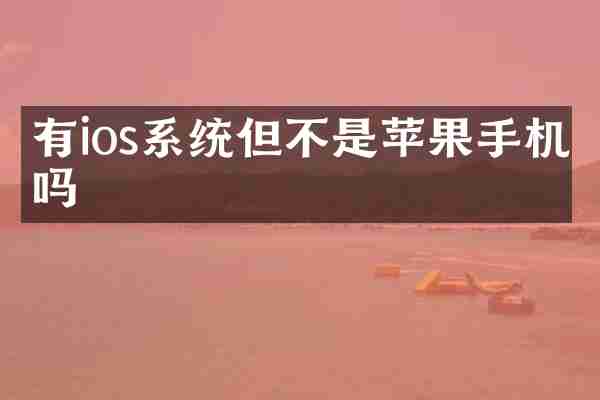 有ios系统但不是苹果手机吗