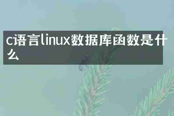 c语言linux数据库函数是什么