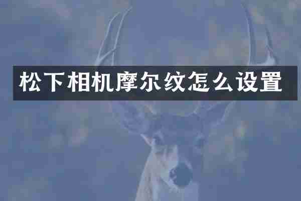 松下相机摩尔纹怎么设置