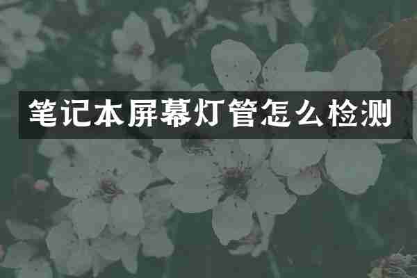 笔记本屏幕灯管怎么检测