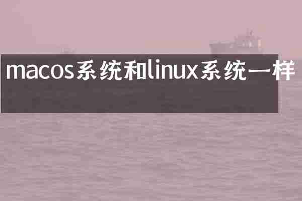 macos系统和linux系统一样吗