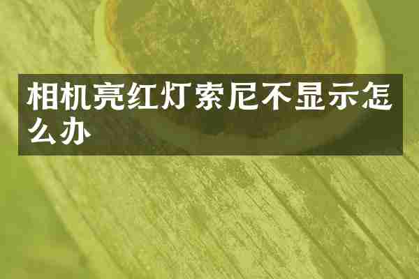 相机亮红灯不显示怎么办