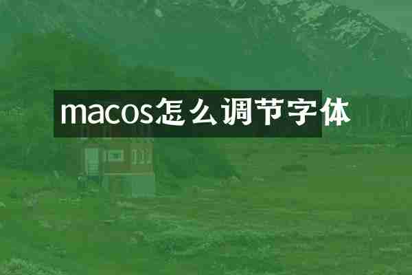 macos怎么调节字体