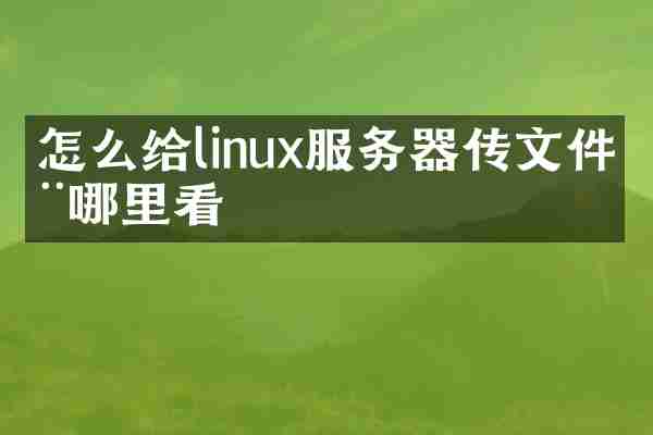 怎么给linux服务器传文件在哪里看