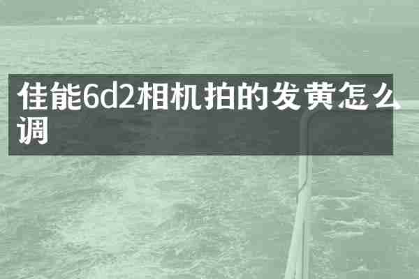 佳能6d2相机拍的发黄怎么调