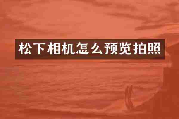 松下相机怎么预览拍照