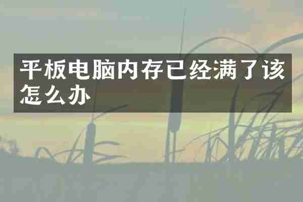 平板电脑内存已经满了该怎么办