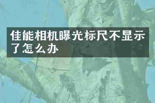 佳能相机曝光标尺不显示了怎么办