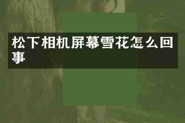 松下相机屏幕雪花怎么回事