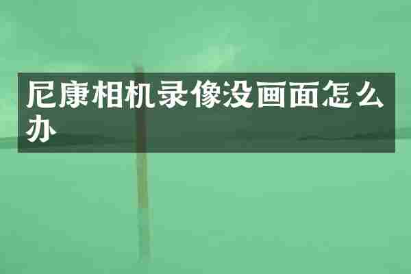 尼康相机录像没画面怎么办